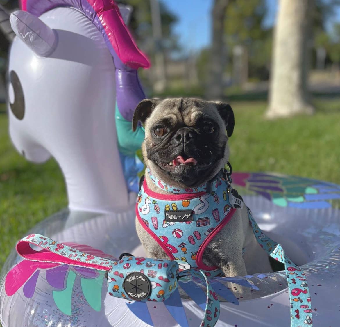 Mina + Pup - POOL DAY  DOG OR CAT ADJUSTABLE HARNESS