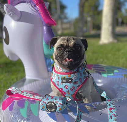 Mina + Pup - POOL DAY  DOG OR CAT ADJUSTABLE HARNESS