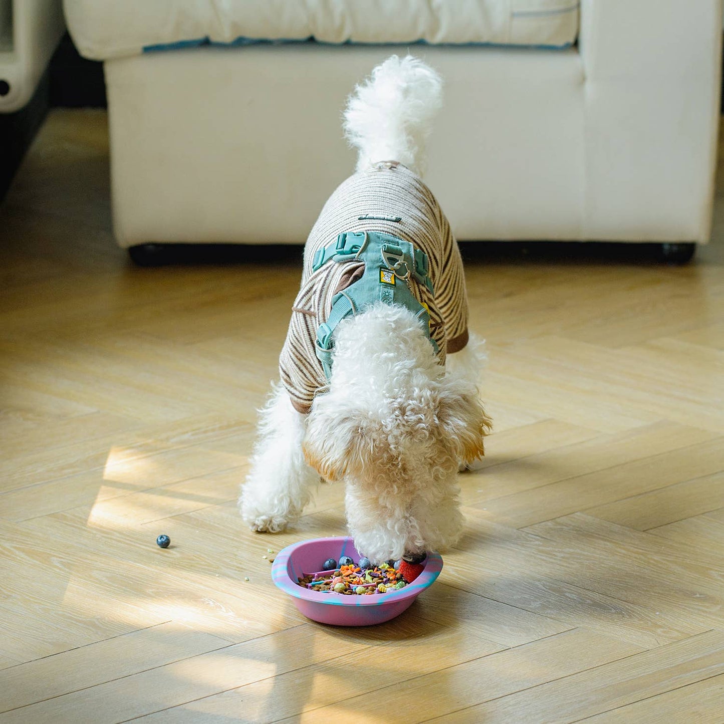 CHEWFFON - CHEWFFON Interactive Dog Lick Bowl-Rainbow Large