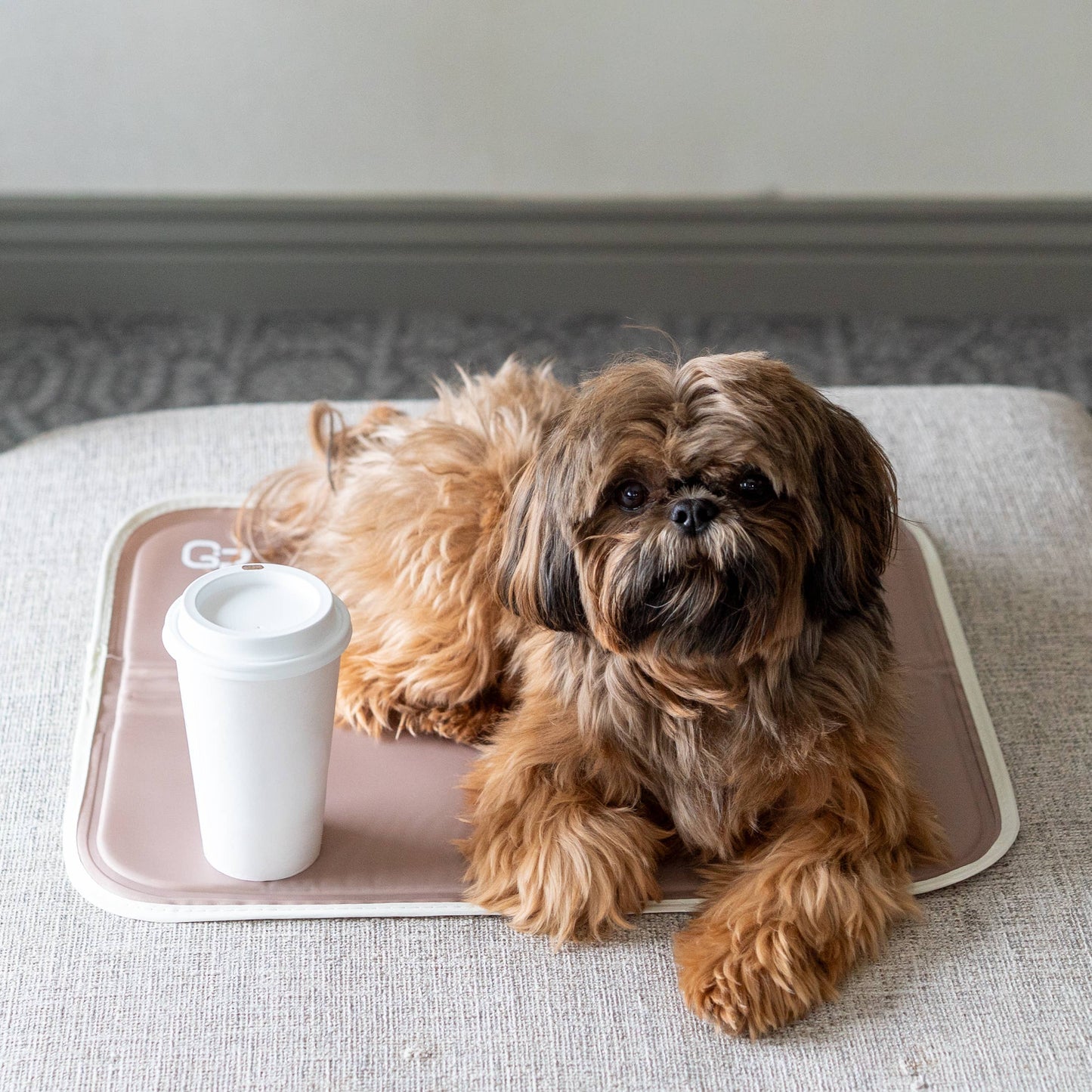 The Green Pet Shop - Cool Pet Pad