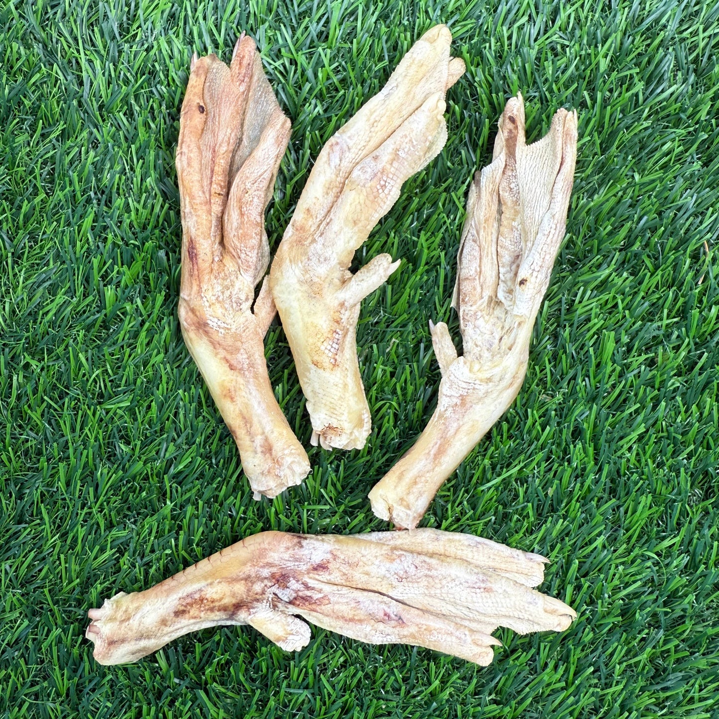 Doot's Chew Bar - Duck Feet - Freeze-Dried Treat/Chew for Dogs - Single
