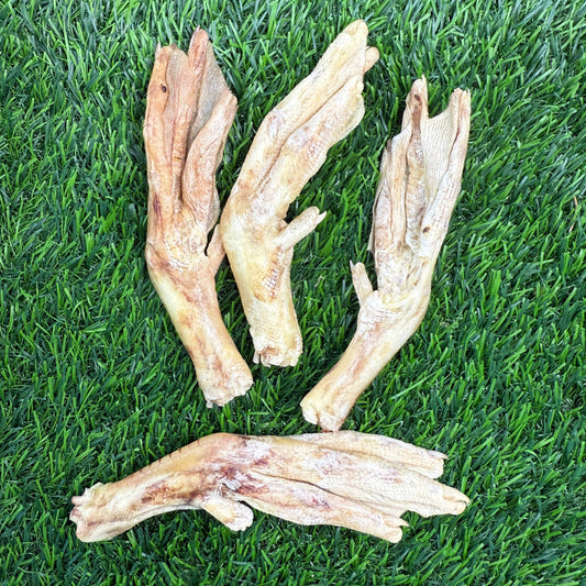 Doot's Chew Bar - Duck Feet - Freeze-Dried Treat/Chew for Dogs - Single