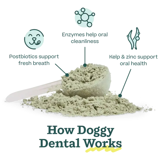 Woof - Pupsicle Mix- Doggy Dental - Doot's Pet LLC Collars For A Cause