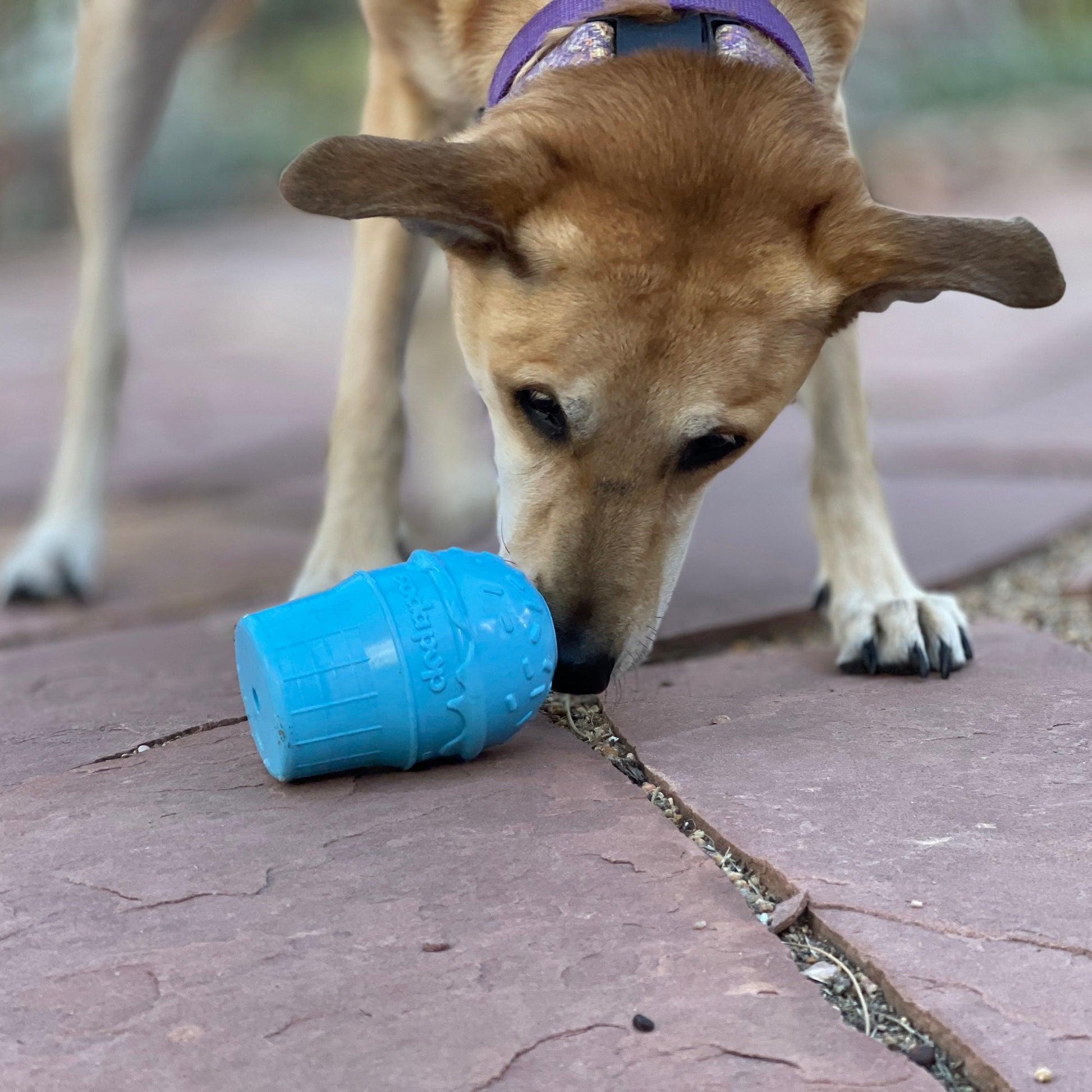 Ice Cream Cone Durable PUP-X Rubber eDispenser Chew Toy and Treat Dispenser - Doot's Pet LLC Collars For A Cause