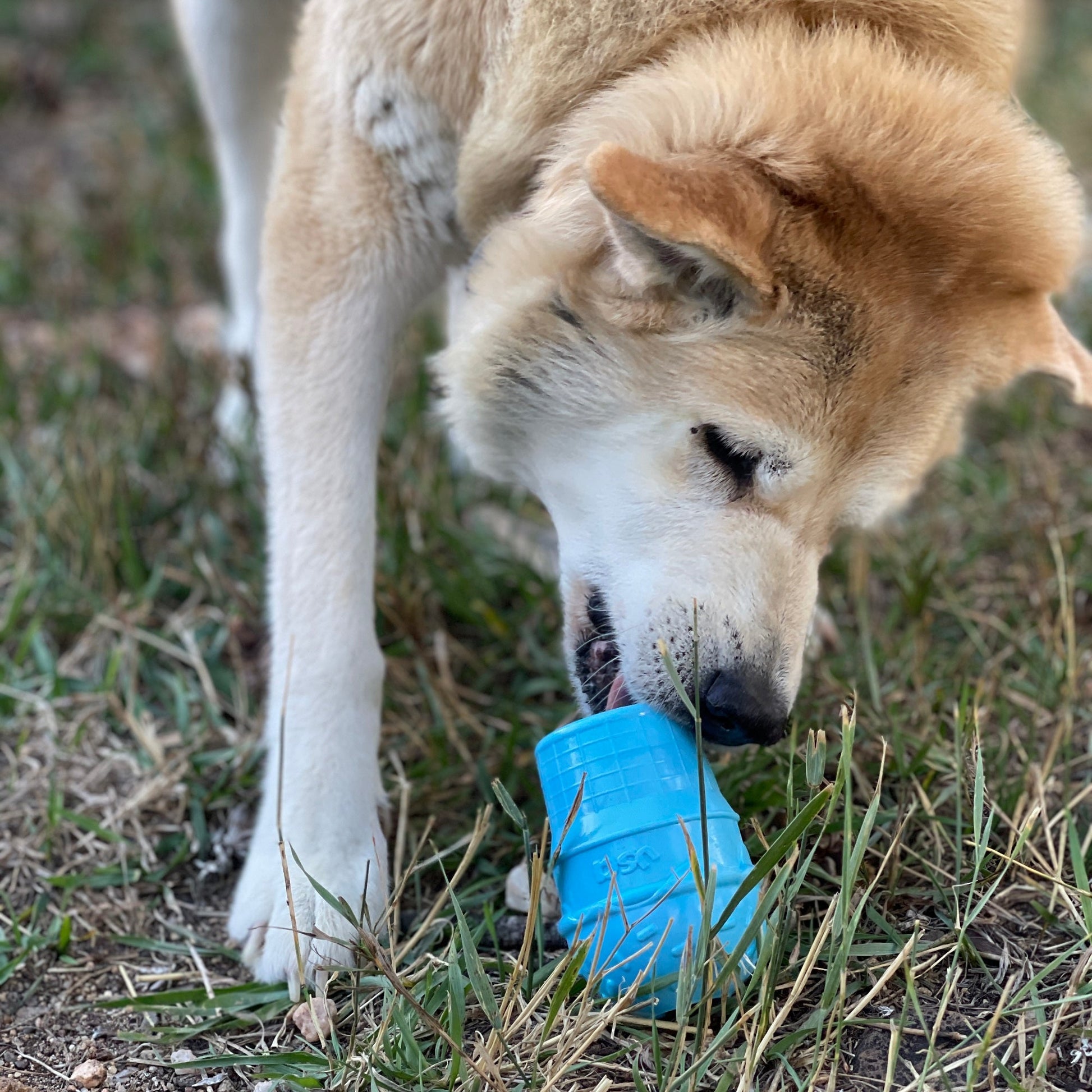 Ice Cream Cone Durable PUP-X Rubber eDispenser Chew Toy and Treat Dispenser - Doot's Pet LLC Collars For A Cause