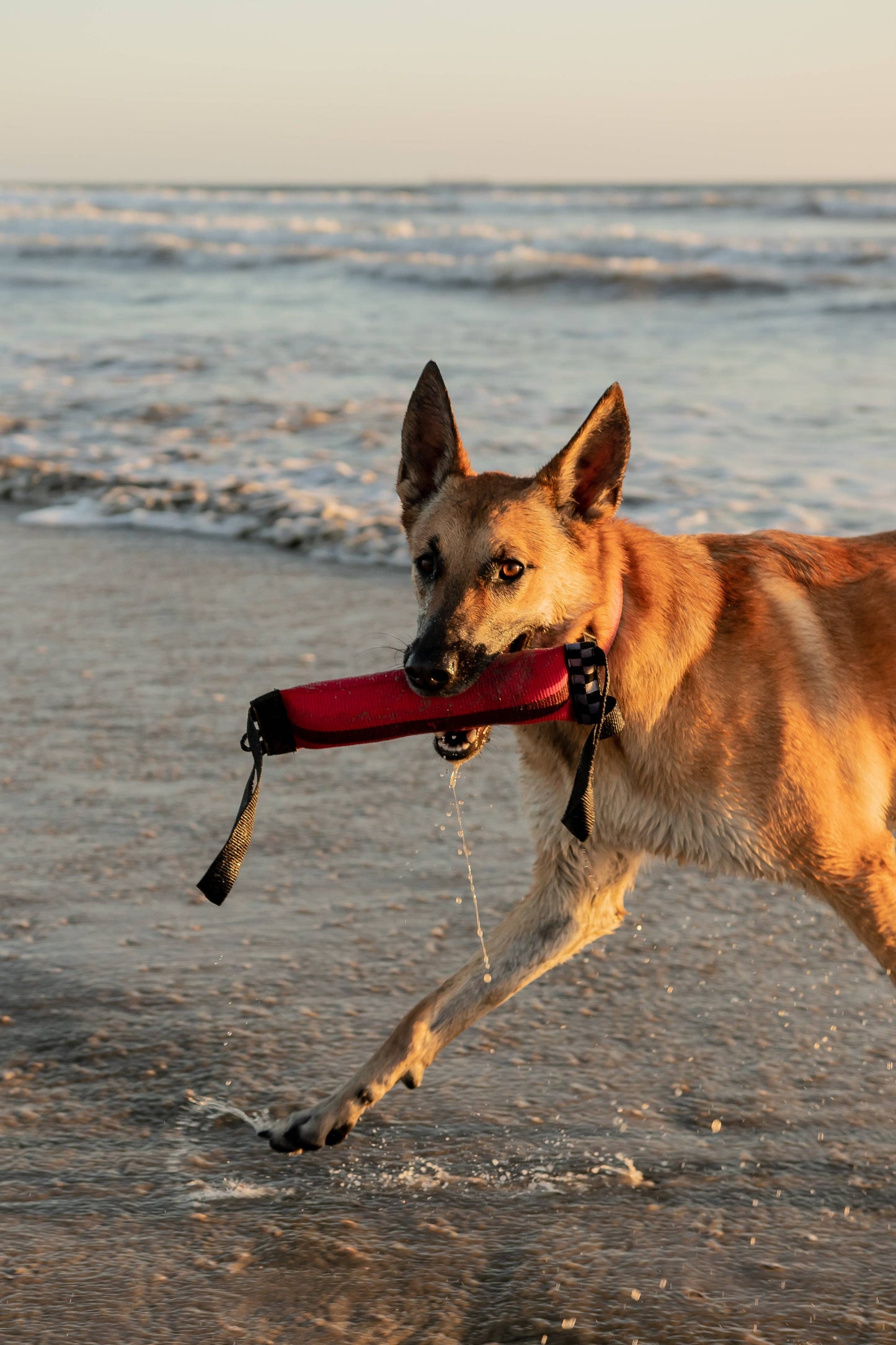 Katie's Bumpers - Best KB Double Tug Dog Tug Toy