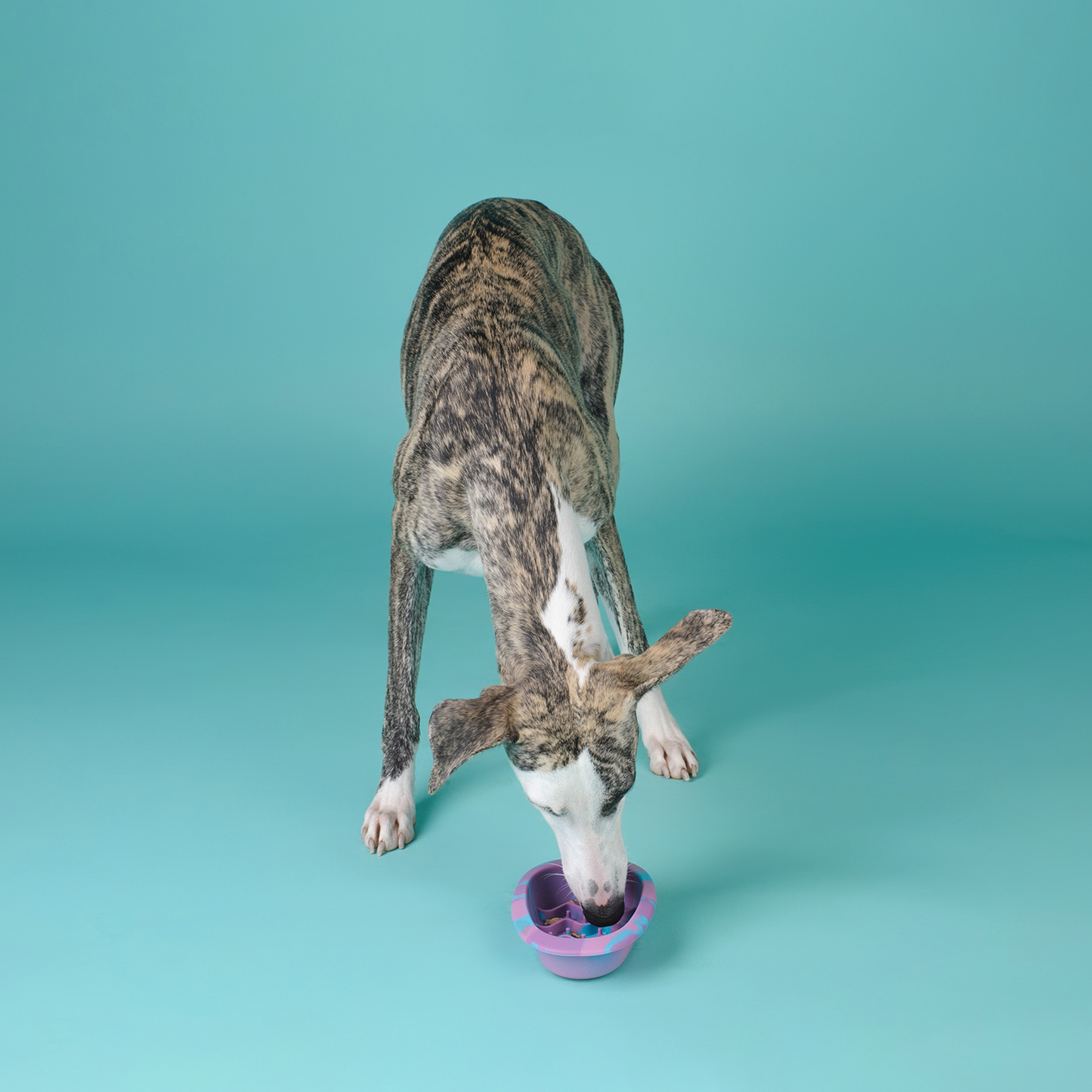 CHEWFFON - CHEWFFON Interactive Dog Lick Bowl-Cotton Candy Small
