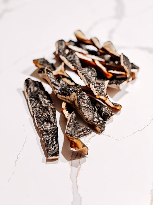 Doot's Chew Bar- Air-Dried USA Gator Hornback Skins, 3–5 in