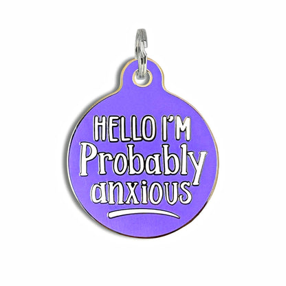 Bad Tags - Dog ID Tag with Personalized QR Code - Hello I'm Anxious - Blue / Engraved QR Code / Large 1.25"