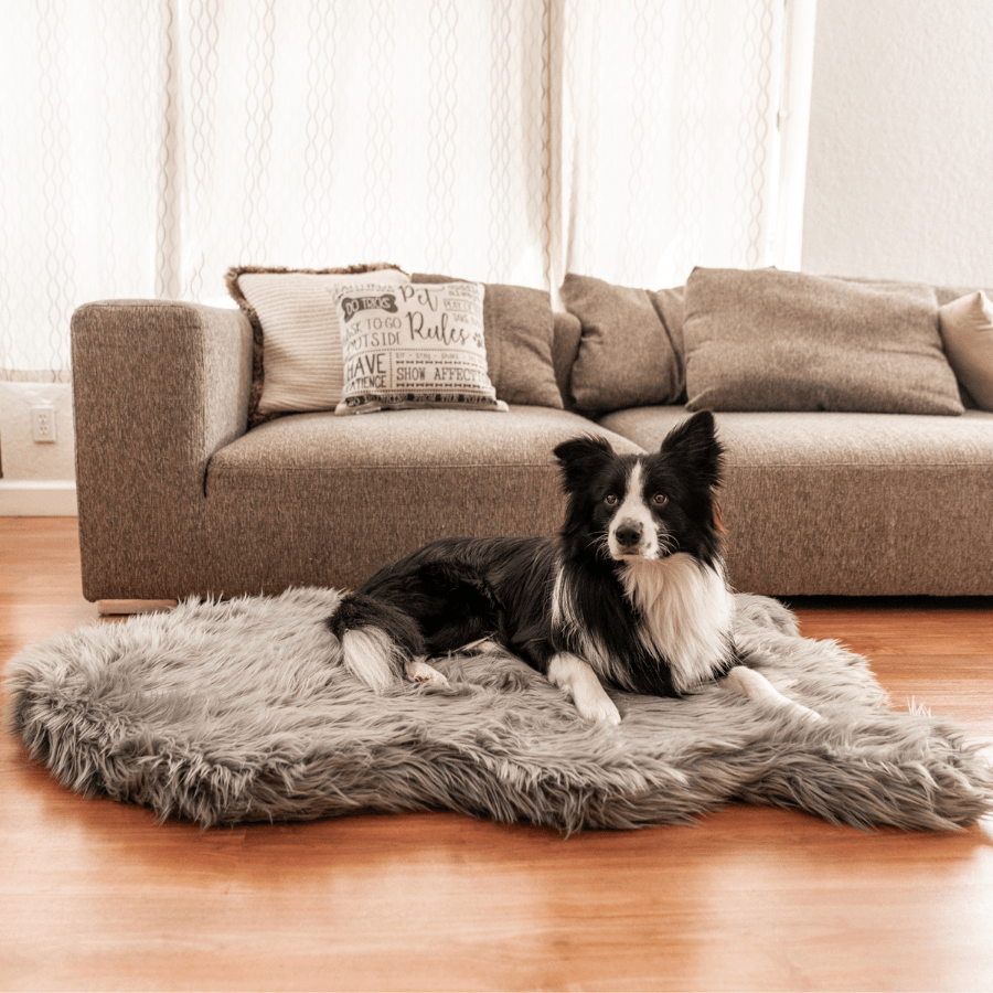 PupRug by Paw.com® Faux Fur Orthopedic Dog Bed - Curve Charcoal Grey - Doot's Pet LLC Collars For A Cause