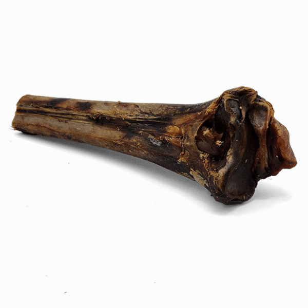 Large Ostrich Cane (11.5" x 5"): The Ultimate Long-Lasting Chew for Medium, Large & XL Dogs - Doot's Pet LLC Collars For A Cause