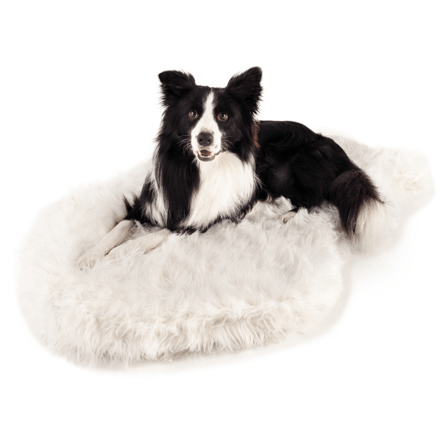 PupRug by Paw.com® Faux Fur Orthopedic Dog Bed - Curve Polar White - Doot's Pet LLC Collars For A Cause