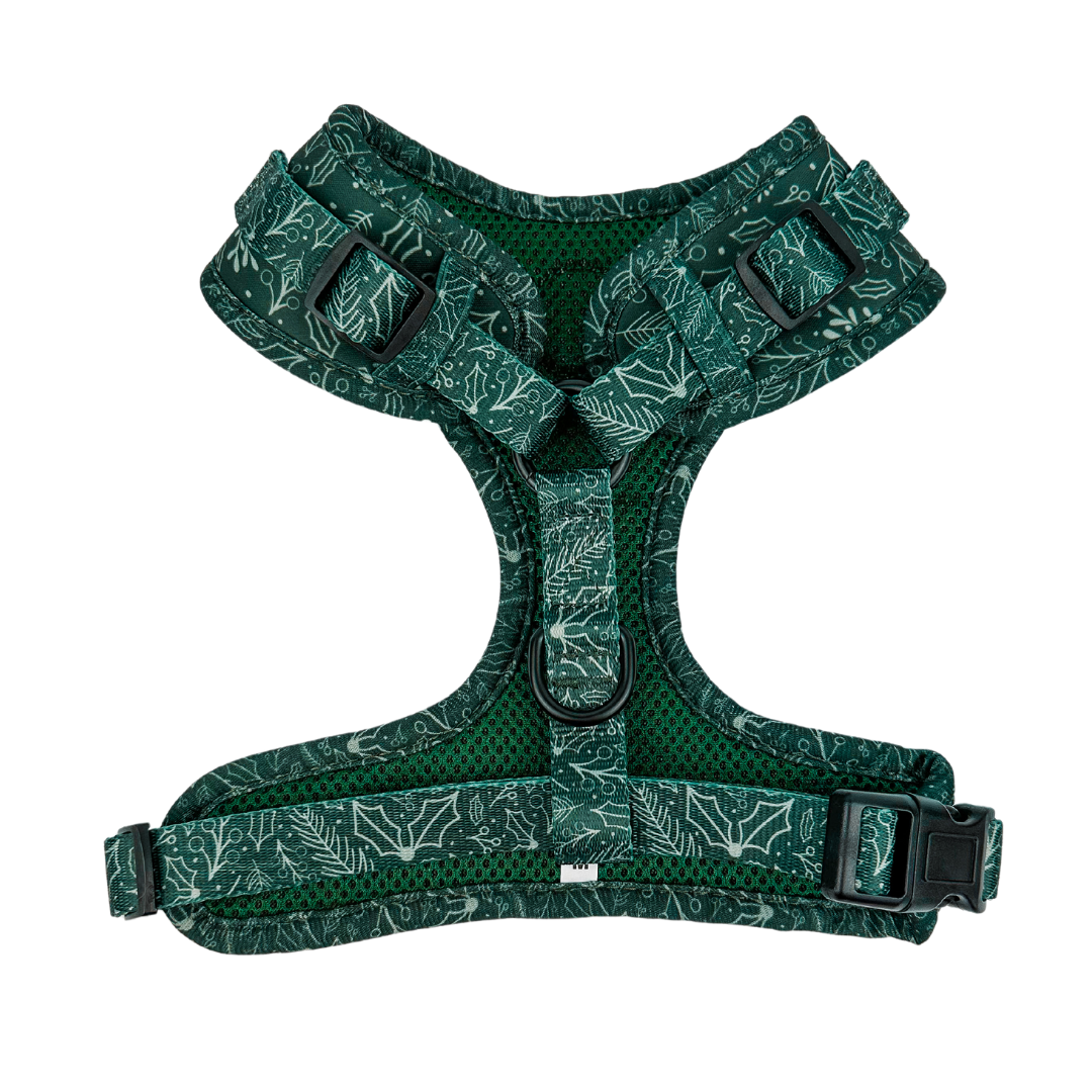 Evergreen Dream Adjustable Harness