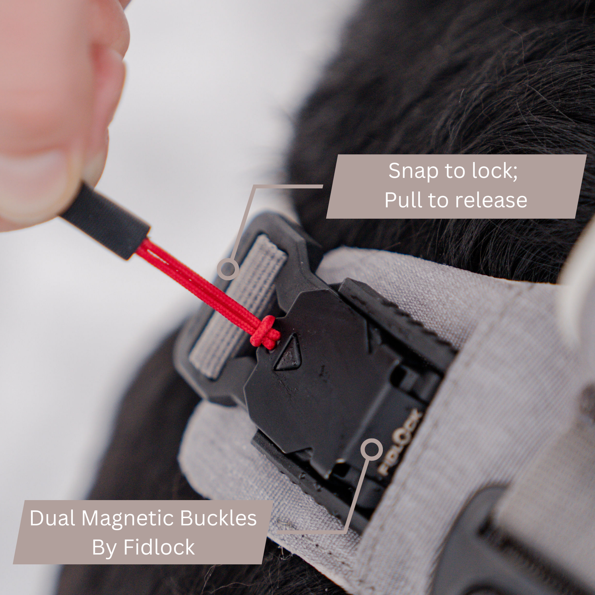 Magnetic Dog Harness - Doot's Pet LLC Collars For A Cause