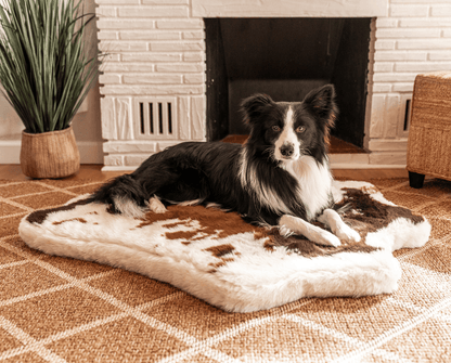 PupRug® Animal Print Memory Foam Dog Bed - Brown Faux Cowhide - Doot's Pet LLC Collars For A Cause