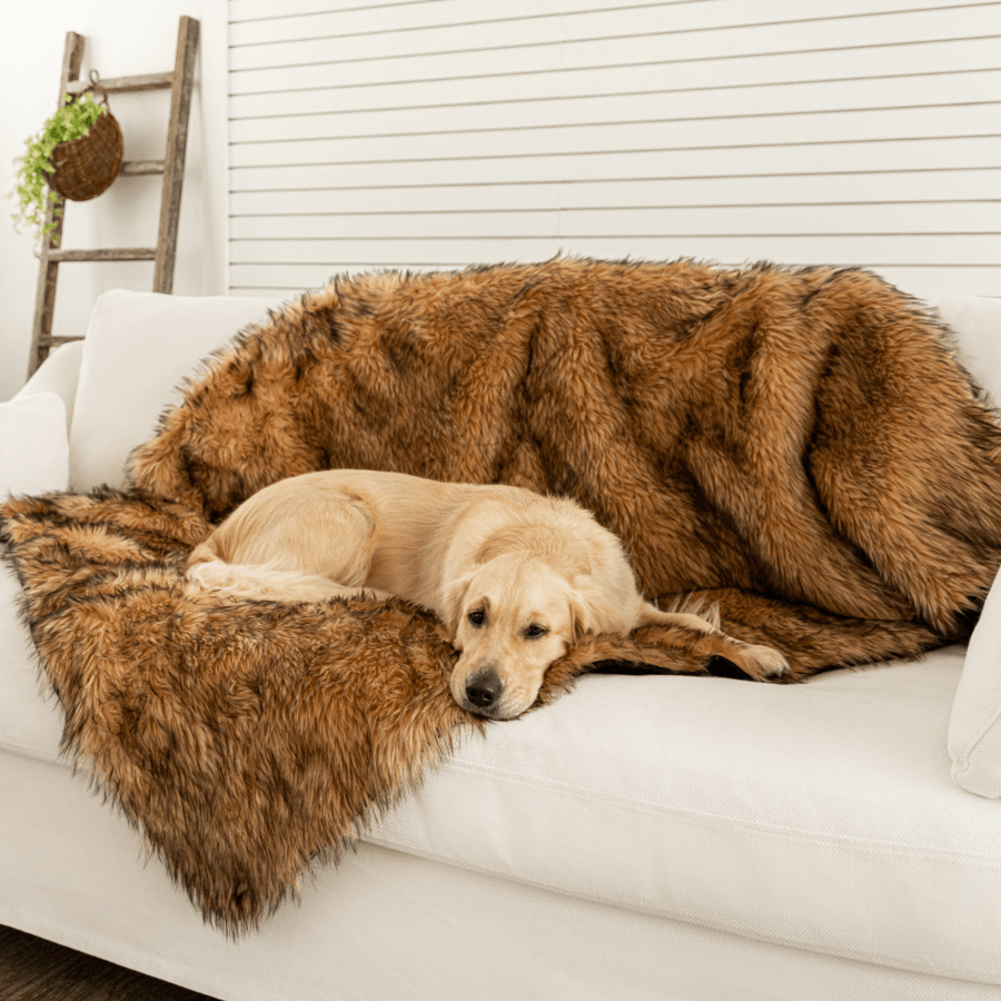 PupProtector™ Waterproof Throw Blanket - Sable Tan - Doot's Pet LLC Collars For A Cause
