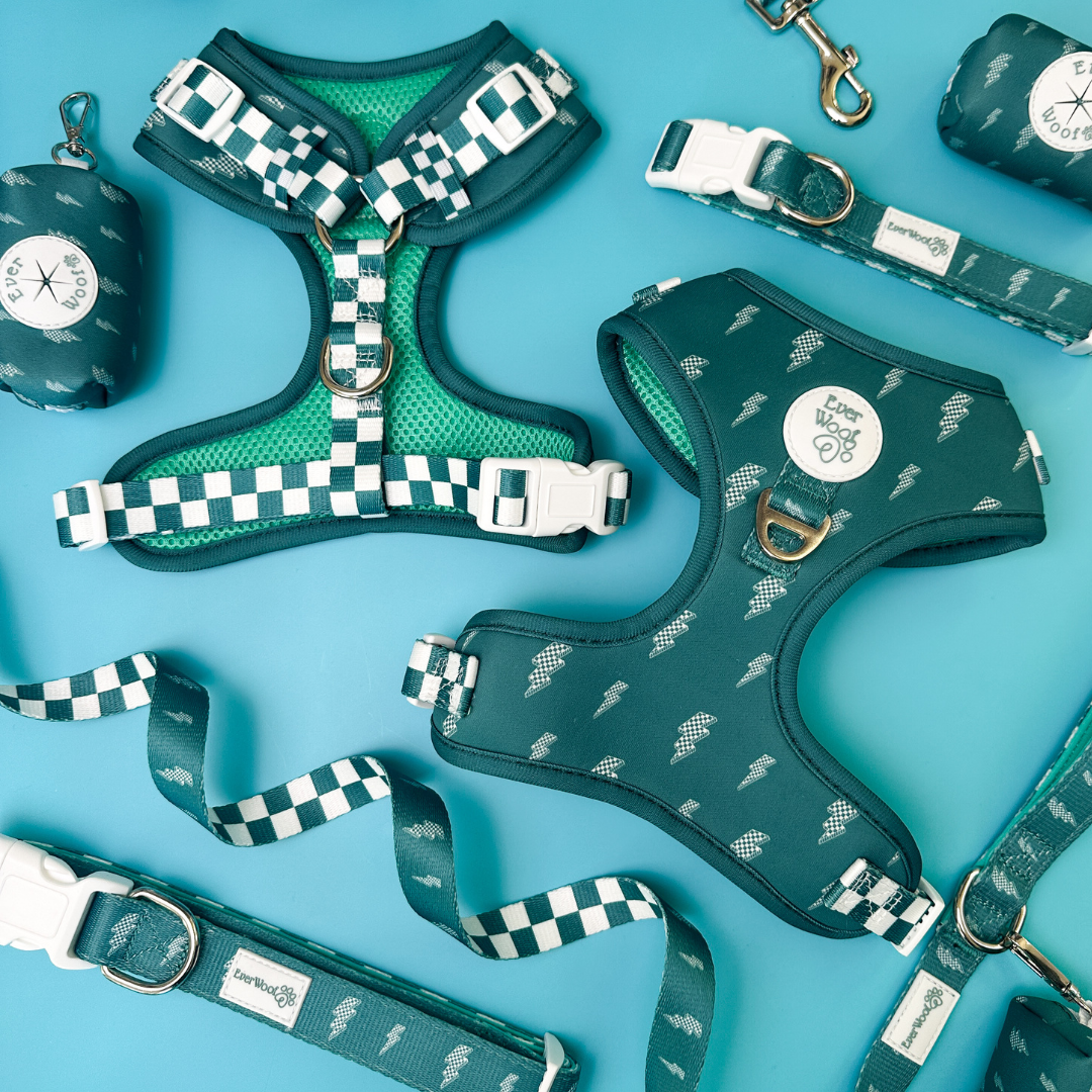 Thunderstruck Adjustable Harness - Doot's Pet LLC Collars For A Cause