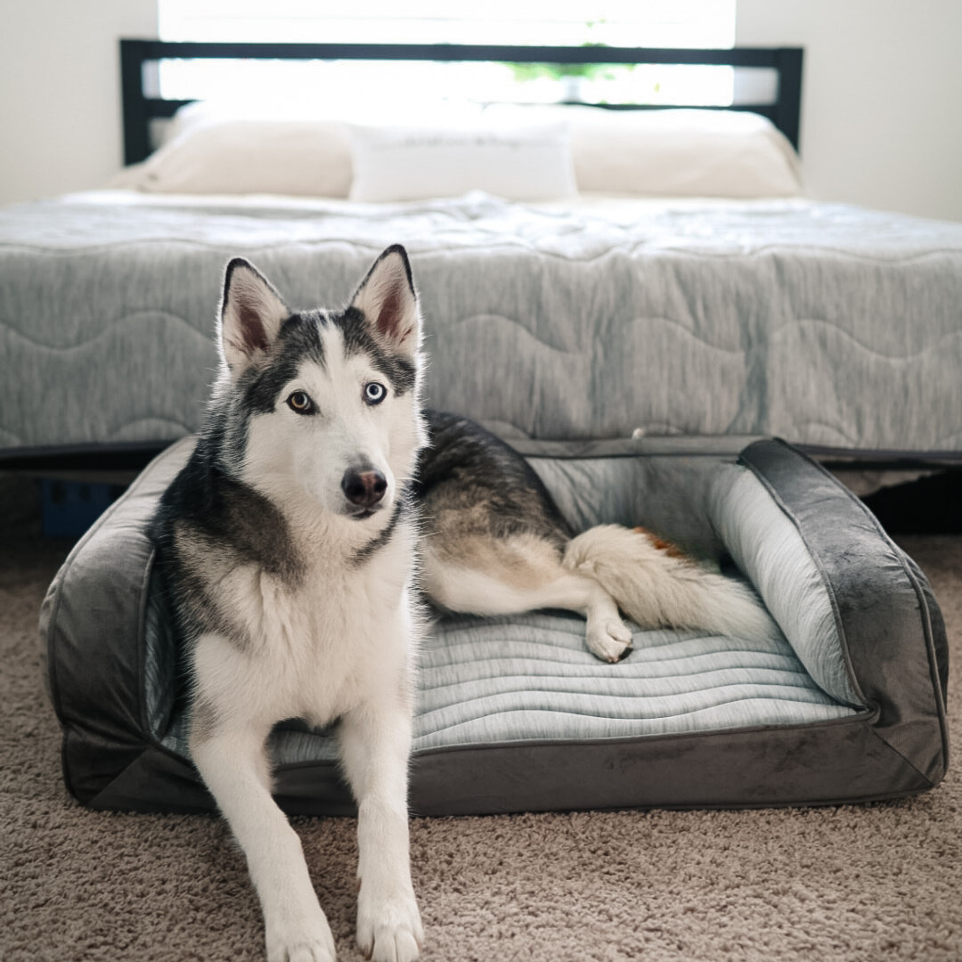 PupChill™ Cooling Bolster Dog Bed + Waterproof Blanket Bundle - Arctic Grey - Doot's Pet LLC Collars For A Cause
