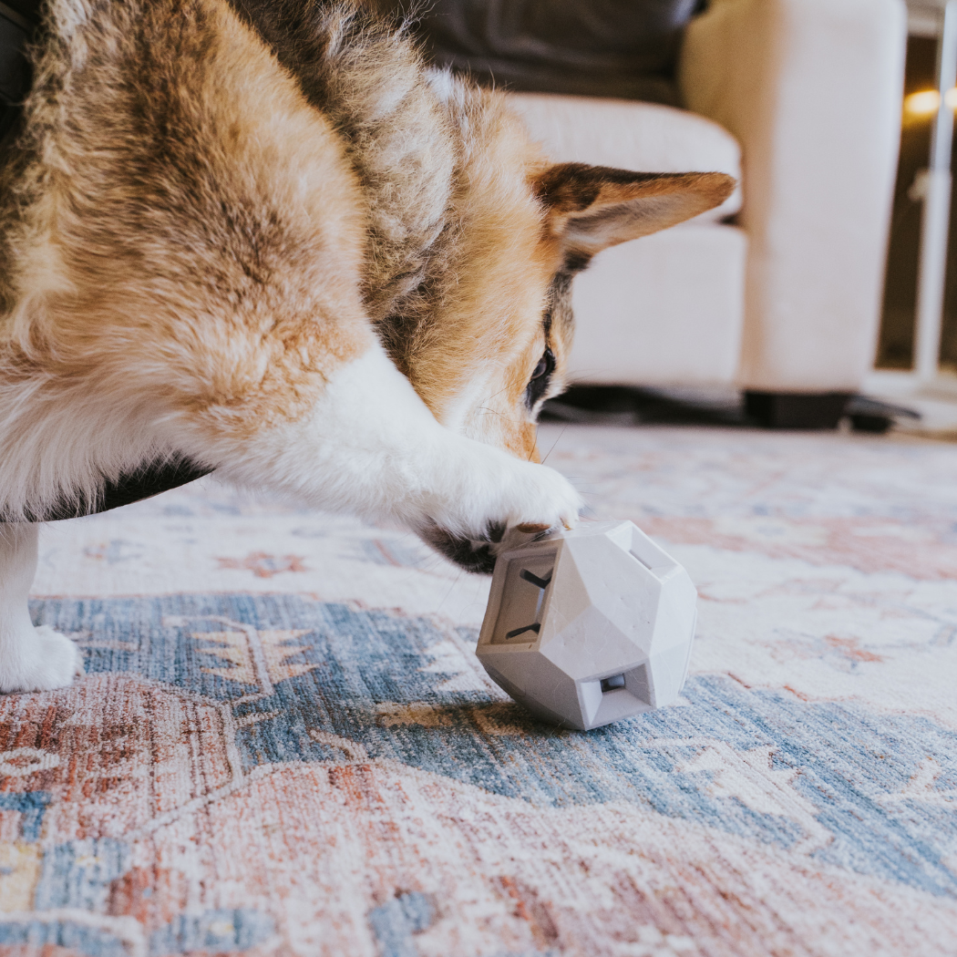 The Odin Treat Dispensing Toy For Dogs - Doot's Pet LLC Collars For A Cause