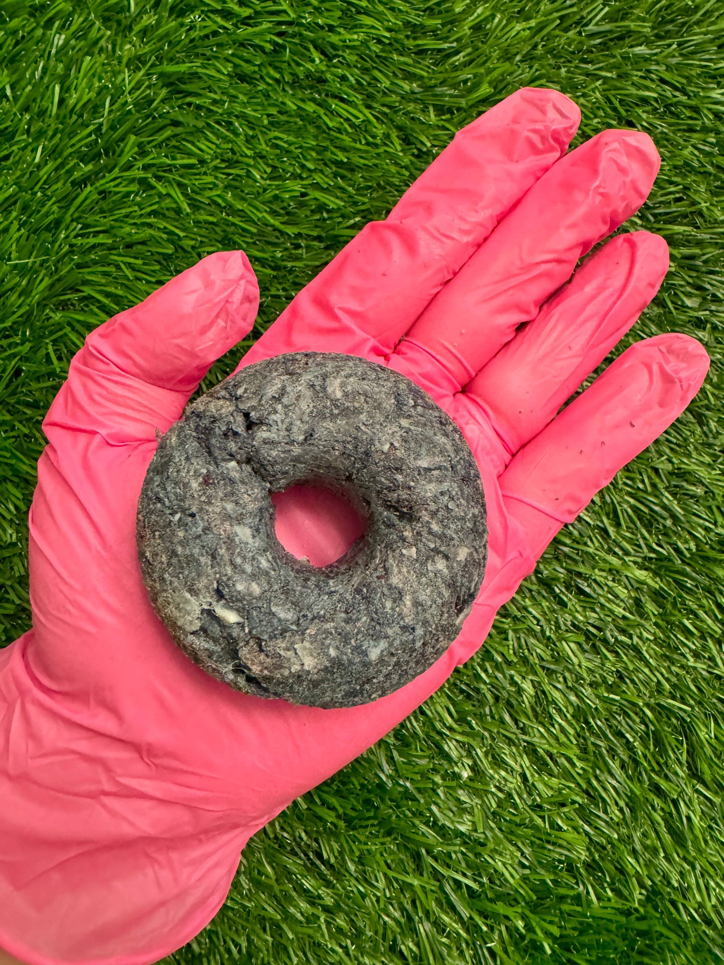 Doot's Chew Bar - Golden Nibbles - Donut - Duck & Spirulina- Freeze-Dried Treat for Dogs & Cats - 1 Donut