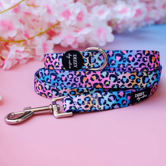 Dizzy Dog Collars - Rainbow Ombre Leopard Dog Leash | Premium Quality Fully Padded Dog Lead - Medium Lead (2cm x 152cm)