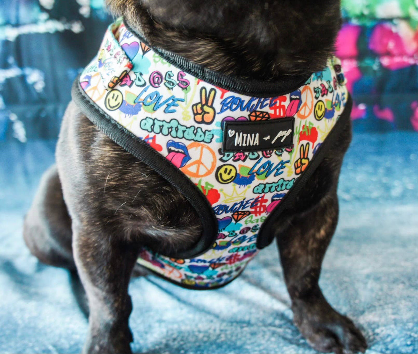 Mina + Pup - Colorful Graffiti Edition Adjustable Dog and Cat Harness