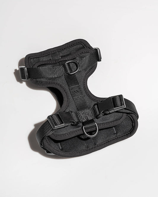 Wild One - Adjustable Comfort Dog Harness - Black