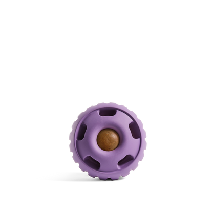 Woof - The Pupsicle - Lavender - Doot's Pet LLC Collars For A Cause