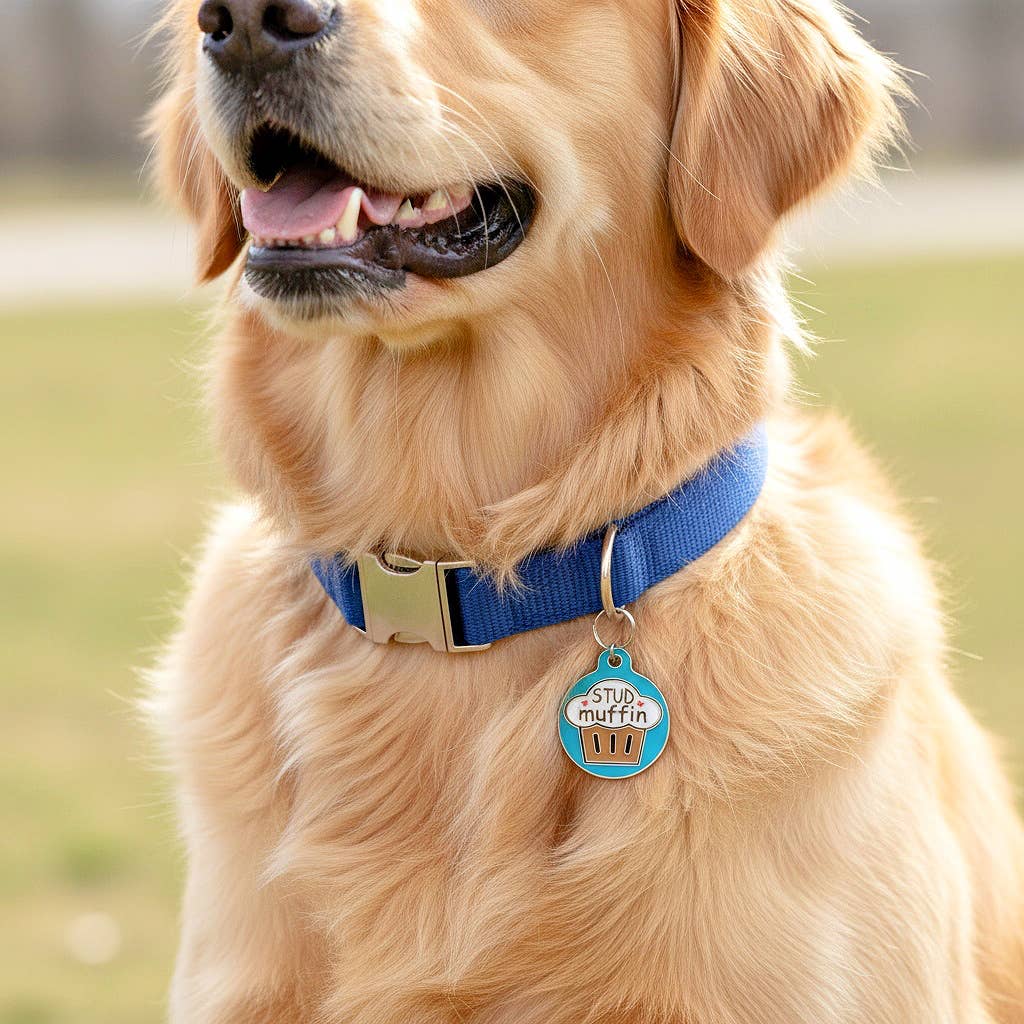 Bad Tags - Cute Pet ID Dog Tag Charm - Stud Muffin - Large 1.25" / Engraved QR Code