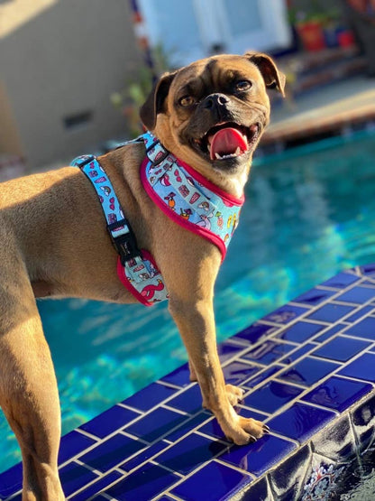 Mina + Pup - POOL DAY  DOG OR CAT ADJUSTABLE HARNESS