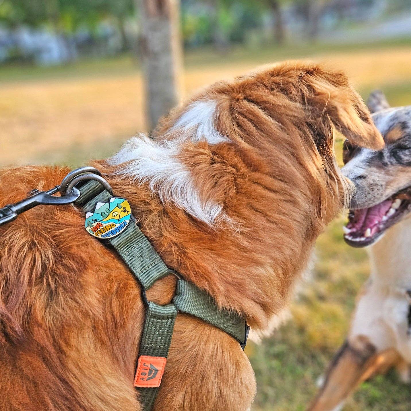 Jiby Dog Crew - Peeing Outdoors Dog Jiby