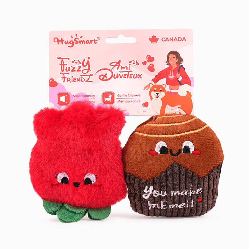 Hugsmart Products Inc - HugSmart Pet - Woof Love | Chocolate&Rose -  Dog Plush Toy