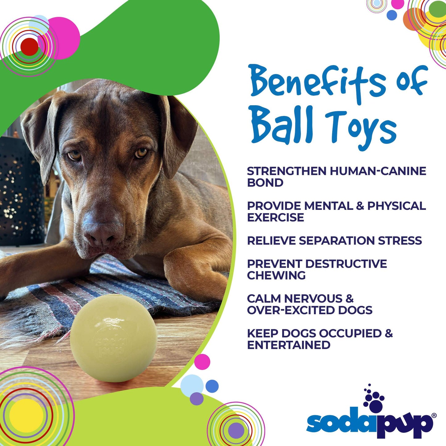 Squeak Ball - Durable Squeaky Dog Toy, Floats, Chew Toy | USA Made - Doot's Pet LLC Collars For A Cause