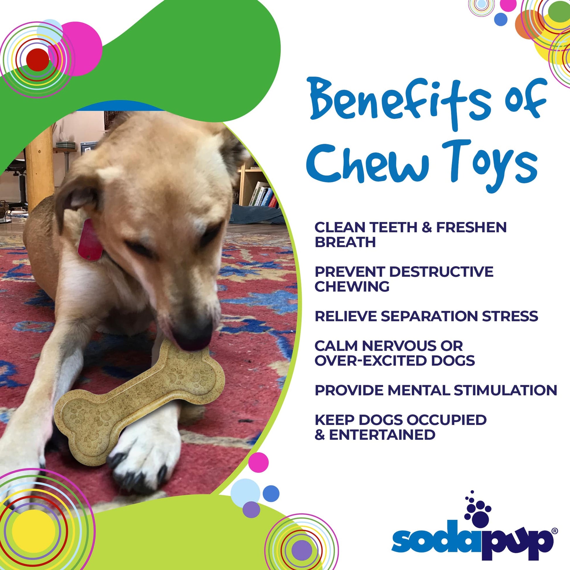 Bone eChew Ultra Durable Nylon Dog Chew Toy for Aggressive Chewers | USA Made - Doot's Pet LLC Collars For A Cause