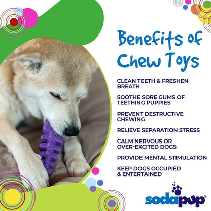 Fish Bone Nylon Dog Toy for Aggressive Chewers | USA Made | SodaPup - Doot's Pet LLC Collars For A Cause