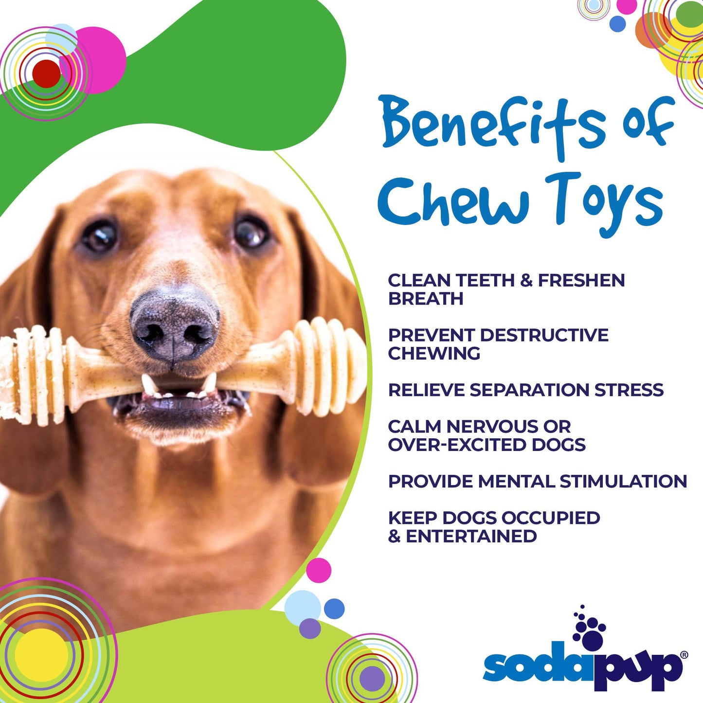 Honey Bone eChew Ultra Durable Nylon Dog Chew Toy - Doot's Pet LLC Collars For A Cause