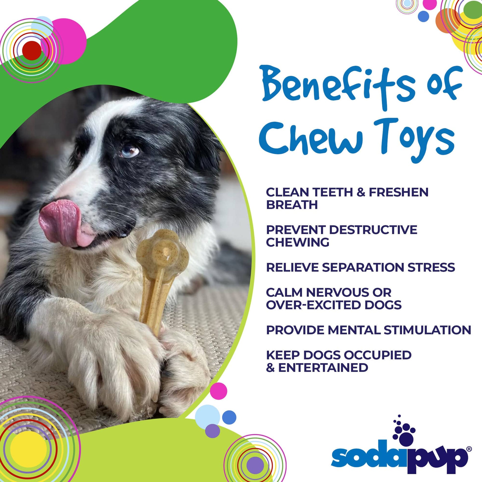 Knuckle Bone Nylon Dog Chew Toy for Aggressive Chewers | Made in USA - Doot's Pet LLC Collars For A Cause