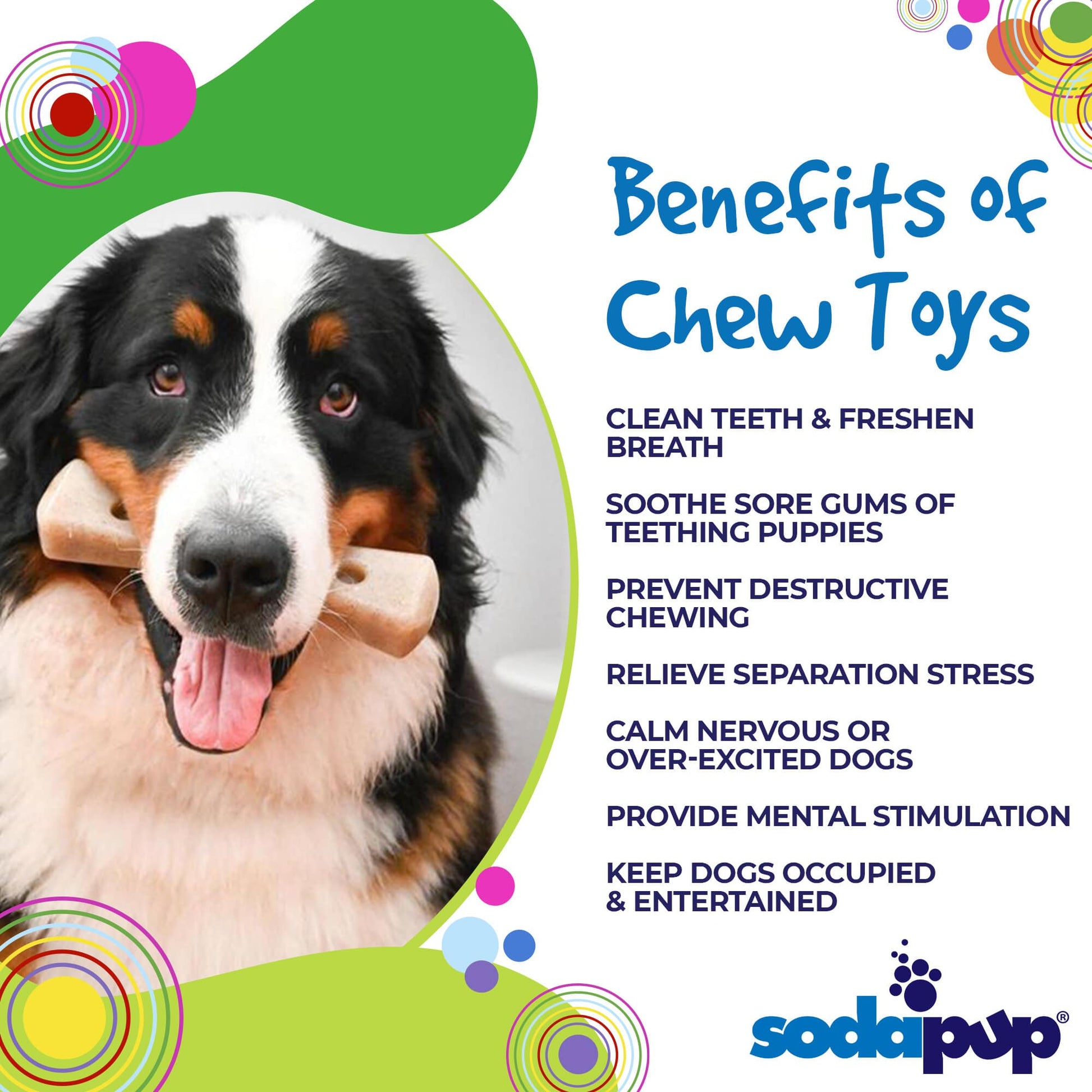 MOD Bone Nylon Dog Chew Toy for Aggressive Chewers | USA Made - Doot's Pet LLC Collars For A Cause