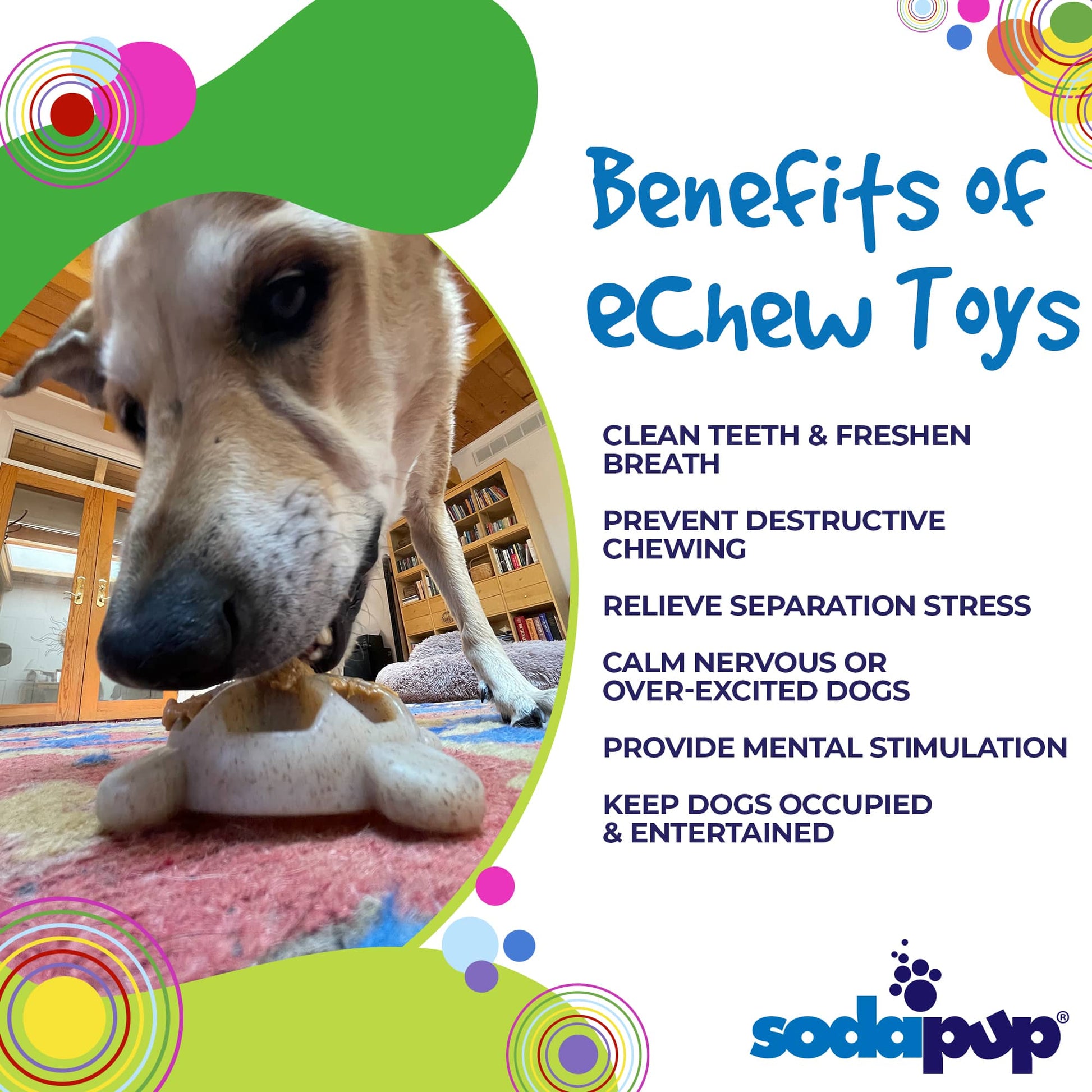 Turtle Nylon Chew Toy - Ultra-Durable Enrichment Toy for Power Chewers USA - Doot's Pet LLC Collars For A Cause