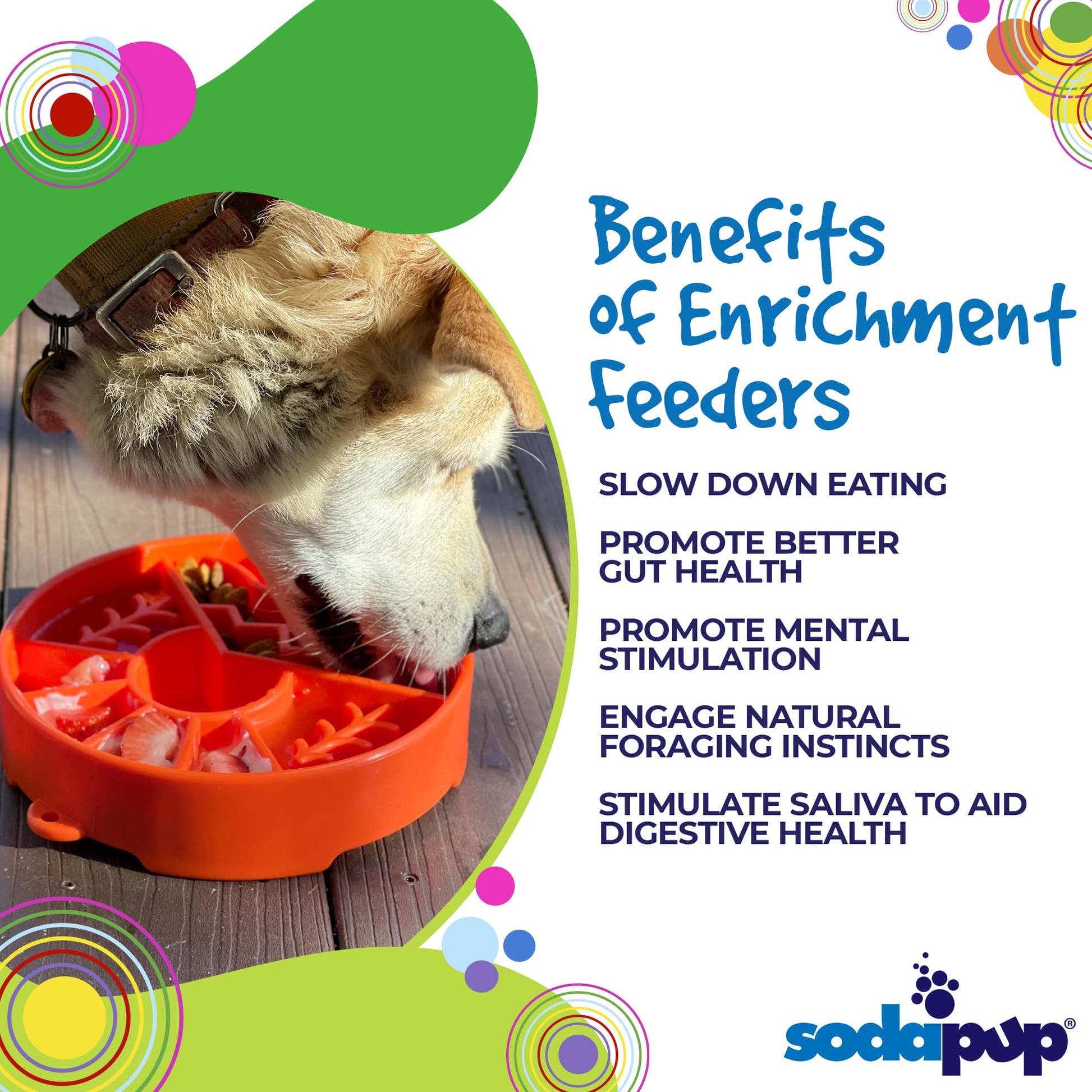 Great Outdoors eBowl - Slow Feeder Dog Bowl & Enrichment | USA Made - Doot's Pet LLC Collars For A Cause