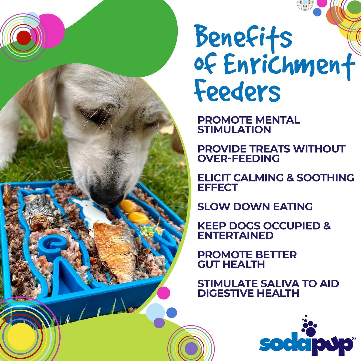 Waiting Dogs eTray - Shallow Slow Feeder Bowl for Enrichment | USA Made - Doot's Pet LLC Collars For A Cause