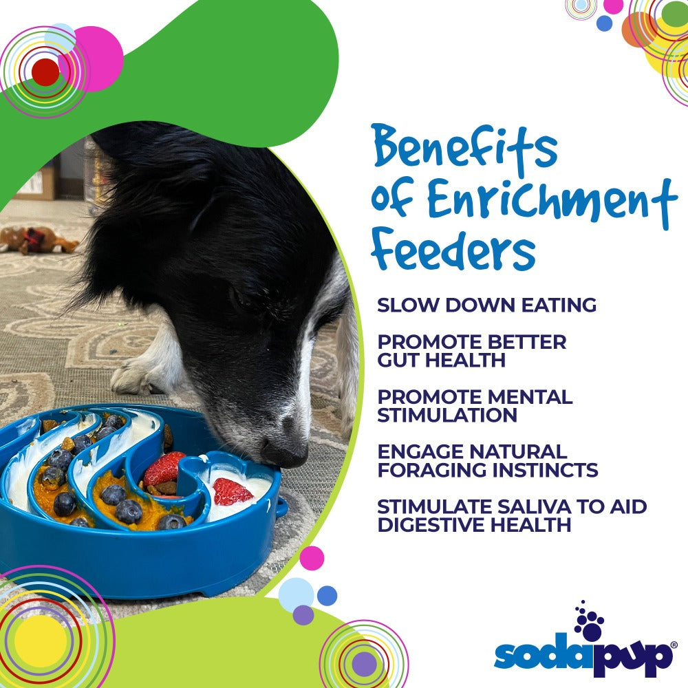 Wave eBowl Deep Slow Feeder Dog Bowl for Enrichment | Made in USA - Doot's Pet LLC Collars For A Cause