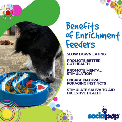 Wave eBowl Deep Slow Feeder Dog Bowl for Enrichment | Made in USA - Doot's Pet LLC Collars For A Cause