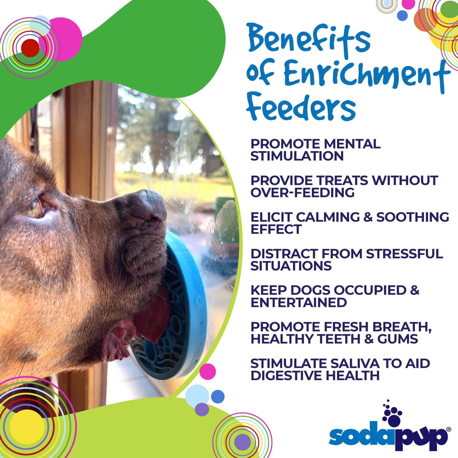 Turtle eMat-Mini Lick Mat with Suction Cups - Small Dogs & Cats | USA - Doot's Pet LLC Collars For A Cause