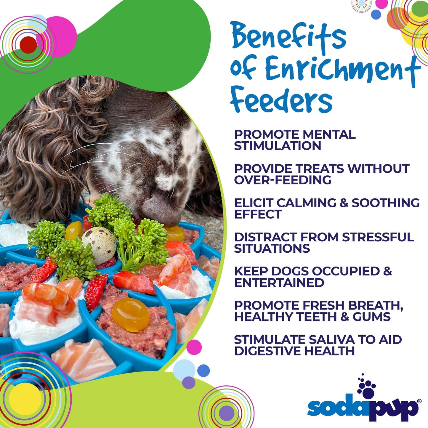Mandala eTray Shallow Slow Feeder Dog Bowl for Enrichment | USA Made - Doot's Pet LLC Collars For A Cause