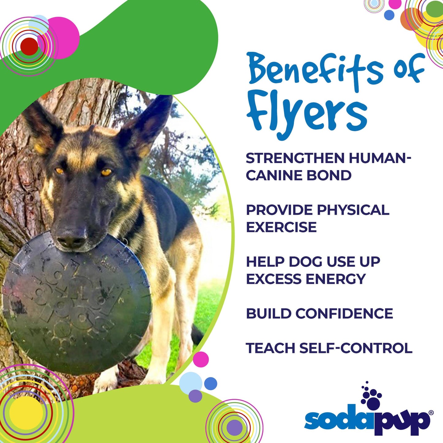 Magnum Bottle Top Flyer Ultra Durable Rubber Retrieving Frisbee - Large - Black - Doot's Pet LLC Collars For A Cause