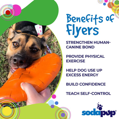 Bottle Top Flyer Durable Rubber Retrieving Frisbee - Orange - Doot's Pet LLC Collars For A Cause