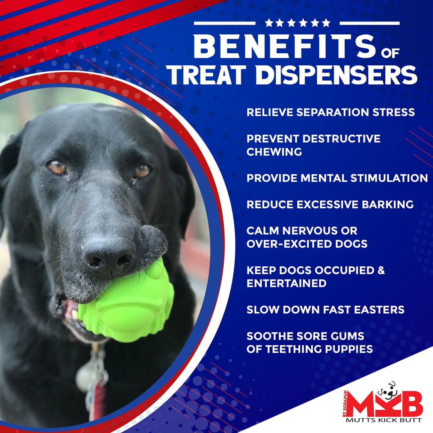 Bull Frog eDispenser Durable Rubber Chew Toy & Treat Dispenser - Large - Doot's Pet LLC Collars For A Cause