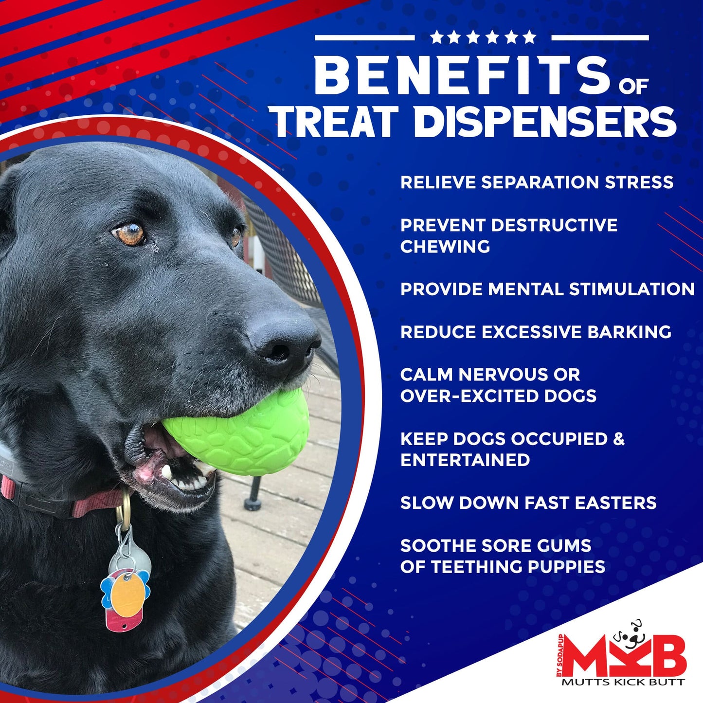 Dinosaur Egg eDispenser Durable Rubber Chew Toy & Treat Dispenser - Doot's Pet LLC Collars For A Cause