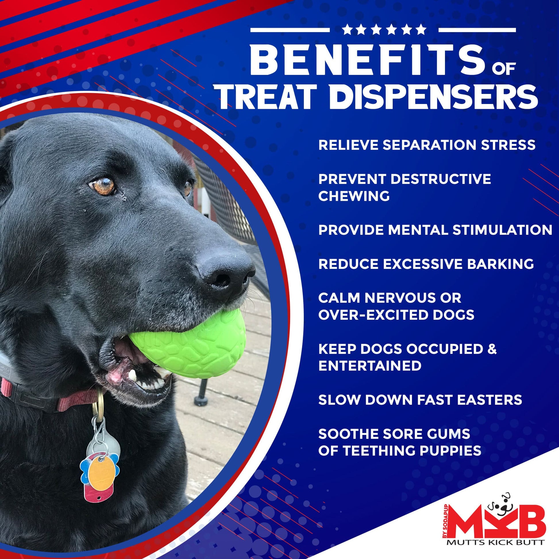 Dinosaur Egg eDispenser Durable Rubber Chew Toy & Treat Dispenser - Doot's Pet LLC Collars For A Cause